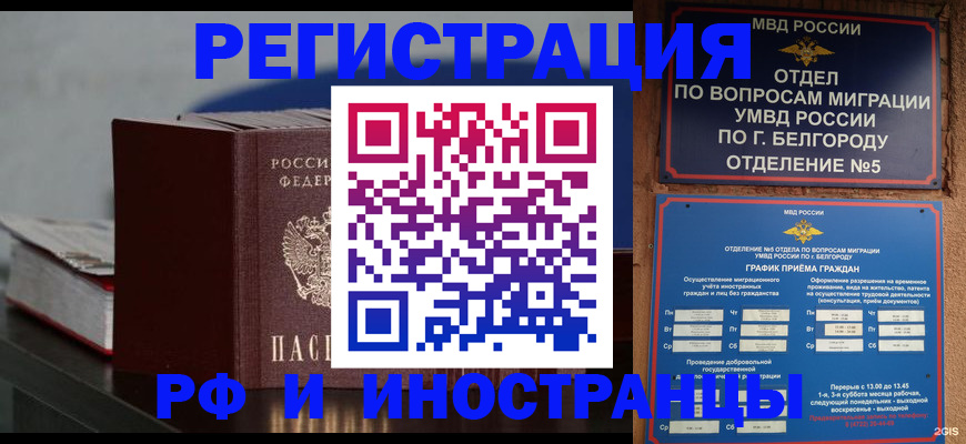 прописка 2025 в Козельске